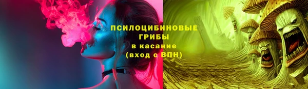 дурь Аркадак