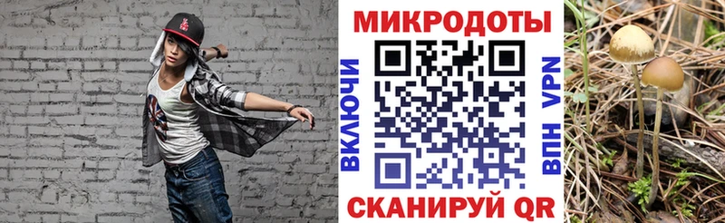 Купить закладки  Верхний Уфалей  Псилоцибиновые грибы ЛСД 